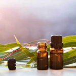 Eucalyptus oil benefits