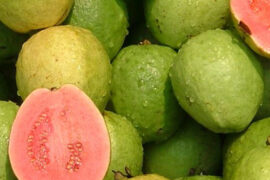 Guava health benefits