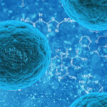 Stem cells and obesity