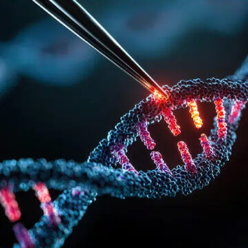 Gene therapy vs cell therapy